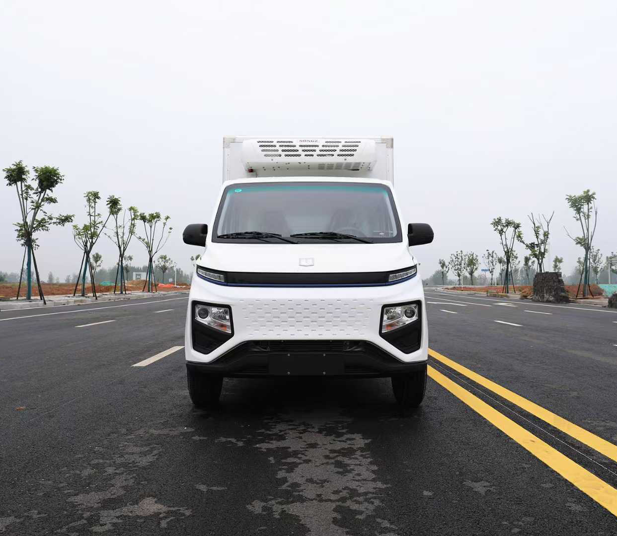 吉利?F1E 純電動箱式冷藏運輸車F類圖片2